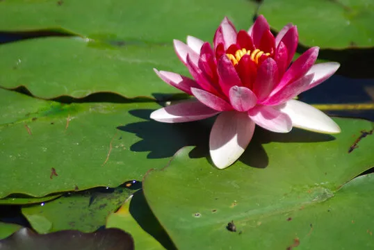 冷热分析图示例